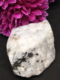 Rainbow Moonstone Rough Rock # 468