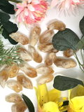 Citrine Natural Raw Points - Small