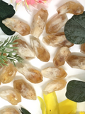 Citrine Natural Raw Points - Small