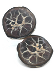 Septarian Nodule Pair #371