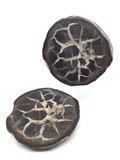 Septarian Nodule Pair #371