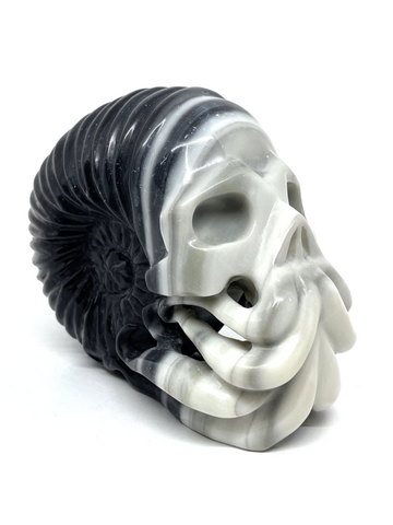 Taiji Jasper Ammonite Skull #334