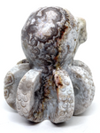 Mexican Agate (Crazy Lace Agate) Octopus #468