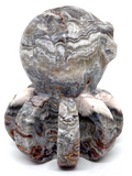 Mexican Agate (Crazy Lace Agate) Octopus #469