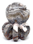 Mexican Agate (Crazy Lace Agate) Octopus #469