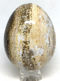 Ocean Jasper Egg # 79 - 85mm