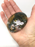 Ocean Jasper Palm Stone #22