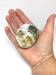 Ocean Jasper Palm Stone #27