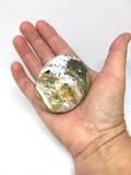 Ocean Jasper Palm Stone #27