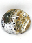 Ocean Jasper Palm Stone #27