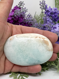 Caribbean Calcite Palm Stone #71