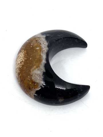 Palm Root Crescent Moon #59