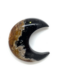 Palm Root Crescent Moon #62