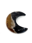 Palm Root Crescent Moon #63