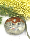 Maligano Jasper Palm Stone #250