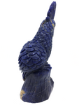 Sodalite Parrot #161