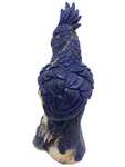 Sodalite Parrot #161