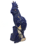 Sodalite Parrot #161