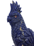 Sodalite Parrot #161