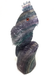 Rainbow Fluorite Parrot #243