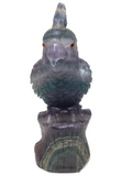 Rainbow Fluorite Parrot #243