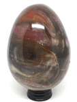 Petrified Wood Egg #34 - 10cm