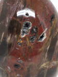 Petrified Wood Egg #34 - 10cm
