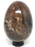 Petrified Wood Egg #34 - 10cm