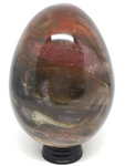Petrified Wood Egg #34 - 10cm
