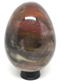 Petrified Wood Egg #34 - 10cm