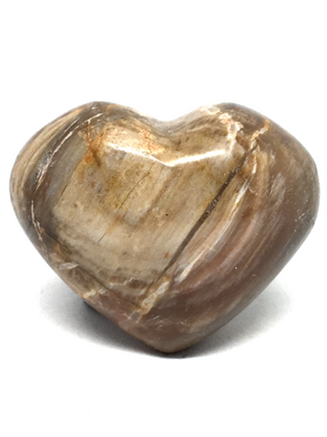 Petrified Wood Heart # 205 - 3.8cm