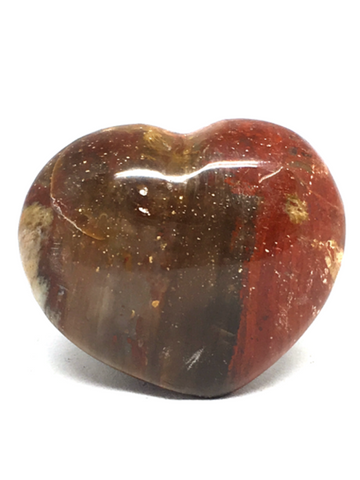 Petrified Wood Heart # 207 - 3.7cm