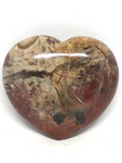 Petrified Wood Heart #33 - 12.8cm