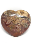 Petrified Wood Heart #33 - 12.8cm