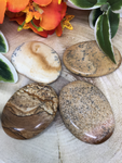 Picture Jasper Polished Flat Stone