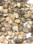 Picture Jasper Crystal Chips - 100g