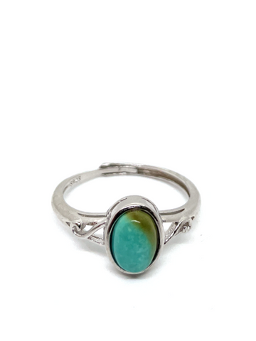 Turquoise Sterling Silver Ring #15 - adjustable