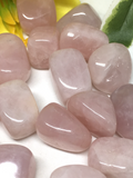 Rose Quartz Tumble Stones