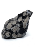 Snowflake Obsidian Rough Rock #399