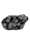 Snowflake Obsidian Rough Rock #399