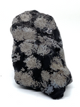 Snowflake Obsidian Rough Rock #399