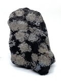 Snowflake Obsidian Rough Rock #399