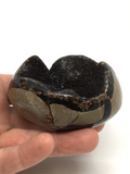 Septarian Geode Egg #419