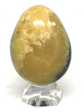 Septarian Egg # 115