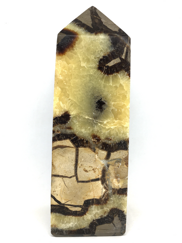 Septarian Tower #55