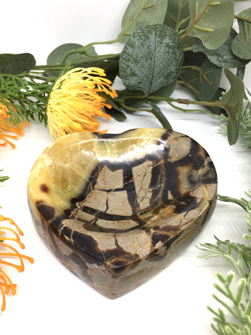 Septarian Heart Bowl #424