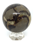 Septarian Sphere #343 - 5.5cm