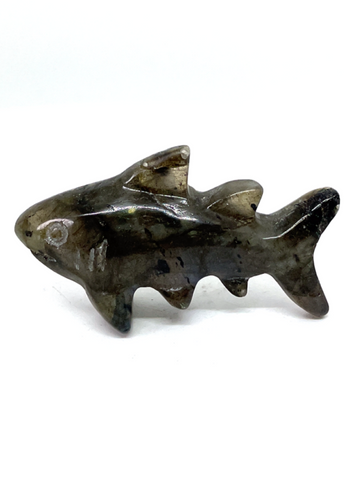 Labradorite Shark #27 - 5cm