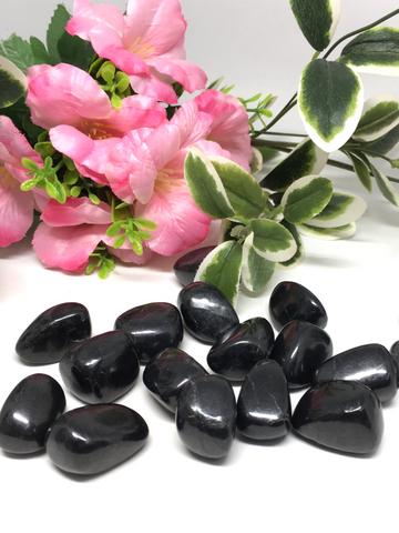 Shungite Tumble Stones