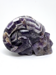 Chevron Amethyst Horned Skull #164